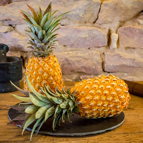 L’ananas Victoria, délice des îles – La Réunion