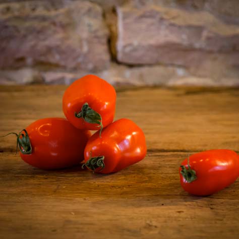 La tomate allongée “Torino” – France – catégorie I