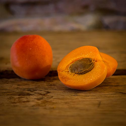 L’abricot – France