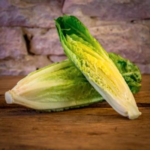 La salade Romaine - France - Catégorie I