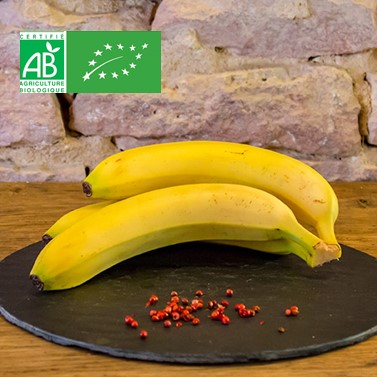 La banane BIO – Equateur