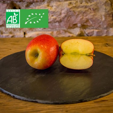 Le pomme Dalinsweet BIO – France – Parc régional du Pilat Loire