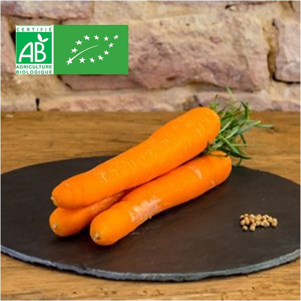 La carotte BIO – France  –  Cat 2